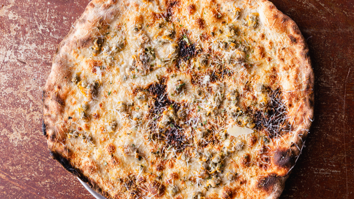 Clam Pizza