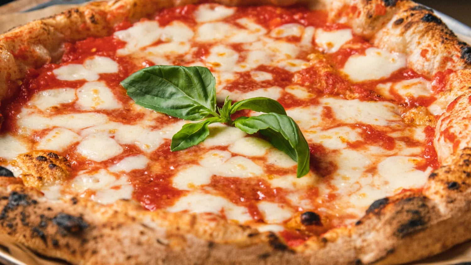 Overnight Pizza Dough recipe poster image